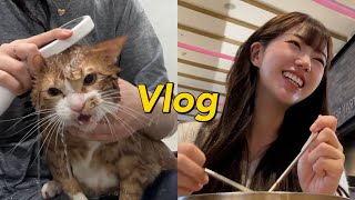 vlog 여우와 냥빨대전쟁🚿  양참덮 도전  하남 스타필드  슬램덩크 극장판  이름없는 파스타  대방어회  스테이크 야만인처럼 먹기  막국수 [upl. by Pazit]