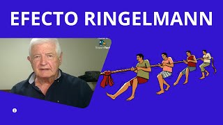 Efecto Ringelmann EXPLICADO FÁCIL [upl. by Karol]