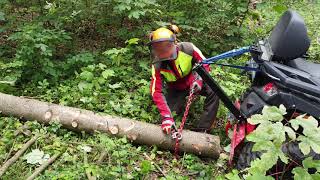 Holzrücken mit dem ATV Waldarbeit [upl. by Wallinga]