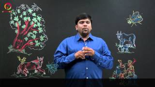 Mathimarupu Eega  3rd Grade Telugu Full Lesson [upl. by Odnaloy]