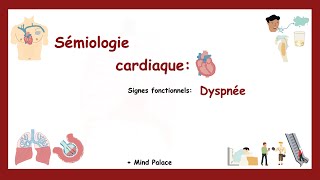 Signes Fonctionnels Cardiaques La Dyspnée  Mind Palace  Pour Mémoriser Sémiologie Cardiaque [upl. by Yedoc]