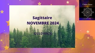 Sagittaire ♐ Mois de novembre 2024 ✨ Un mois plutôt cool 👍 [upl. by Eihtak474]