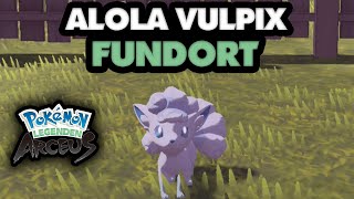 So bekommt ihr Alola Vulpix in Pokémon Legenden Arceus [upl. by Ferro]