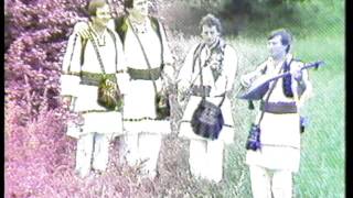 Ilija i Marko Begic  Derventski Zvuci  KUD Seljacka Buna  Video 1984 [upl. by Orpah]