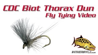 CDC Biot Thorax Dun Fly Tying Video Instructions  Rene Harrops [upl. by Attelocin]