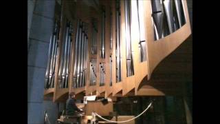 Widor Toccata aus der 5 Orgelsinfonie [upl. by Lednam]