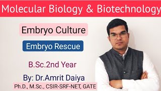 Embryo culture in plant tissue culture  Hindi amp English BSc 2 nd year By Dr Amrit Daiya [upl. by Alvina]