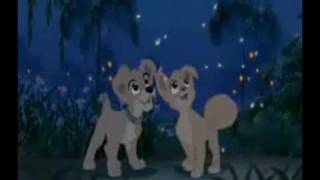 Lady and the Tramp 2Ive never had this feeling before Lyrics [upl. by Close]