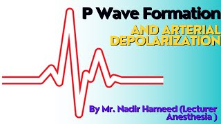 Interpretation of P wave Made Easy atrium depolarization waves ecg [upl. by Yelik165]