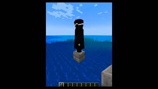 1000 Enderman vs Endermite minecraft minecraftshorts shorts [upl. by Divadnoj]