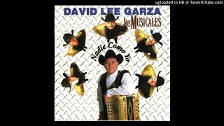 David Lee Garza  Para Ti 1999 [upl. by Ahsiekam]