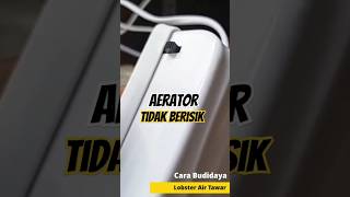 Tidak Berisik  Review Aerator Murah Terbaik  Budidaya Lobster Air Tawar aerator kolam lobster [upl. by Hesketh]