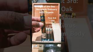 Macanudo Emissary Espana 6x52 Torpedo Shorts CigarOfTheDay Short CigarReviews Cigars Cigar [upl. by Ilatfen]