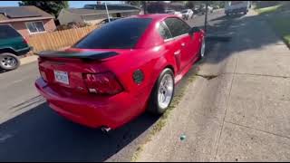 Franks Super Clean 2004 Mach 1 New edge Mustang Walk around video [upl. by Eilzel434]