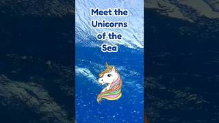 Narwhal The Unicorn of the Sea Fun Facts for Kids amp Parents  Ocean Animals [upl. by Eceerahs]