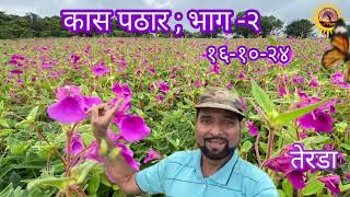 Kas Pathar Part2SataraSampurn Mahiti2024 [upl. by Ahsitan494]