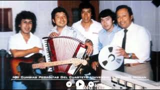 Mix Cumbias Pegaditas Del Cuarteto Universal Y Claudio Moran [upl. by Christis]