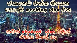 ජපානෙට එන්න හොදම Working Visa එක [upl. by Macnair]