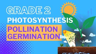 Grade 2 Lesson On Plants Photosynthesis Pollination Germination [upl. by Enirbas]