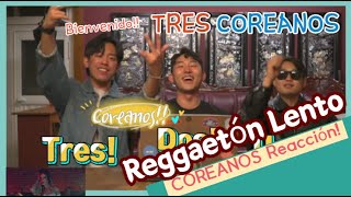 🔴COREANOS REACCIONAN A quotReggaetón Lentoquot 🔴 Reggaeton Regueton reacción TRES COREANOS [upl. by Aggappora]