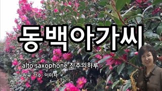 동백 아가씨 quot원곡 이미자quot camellia lady [upl. by Newmark]