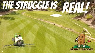 Backyard Golf Course gets sprayed with a real sprayer [upl. by Waldron]