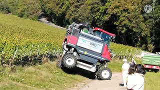 Weinlese Vollernter  A modern way of harvesting grapes in Germany [upl. by Epperson361]