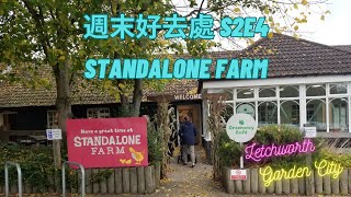 【週末好去處 S2E4】Standalone Farm｜英國細小農場🚜🚜🐮🐮🐂🐂🐓👨‍🌾👩‍🌾｜同錦田鄉村俱樂部差不多？有什麼不同？｜英國親子好去處｜倫敦郊區好去處 [upl. by Siuqaj]