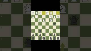 Halosar trap 🔥 ChessChessTrapChessTrapsChessTacticsChessStrategyChessReelsChessShorts [upl. by Ilana]