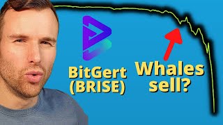 Why Bitgert is up ⚠️ BRISE BitRise Crypto Token Analysis [upl. by Ytineres]