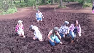 Bog Run at Causey Farm [upl. by Yddur]