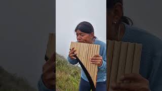 YOU RAISE ME UP panflute quenacho quena nativeflutes zampoña livemusic [upl. by Milano]