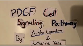 AP Biology  PDGF Cell Signaling Pathway Arthi and Katherine [upl. by Ahtael485]