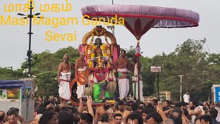 Masi Magam Garuda Sevai Parthasarathy Perumal Tiruvallikeni [upl. by Iand147]