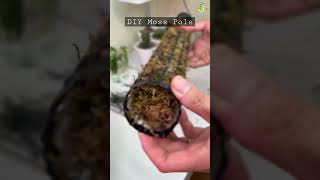 How to make your own Moss Pole  DIY Moss Pole [upl. by Rehpotsihc]