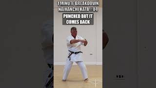 Naihanchi Power Punch  1 Minute Kata shorts wado [upl. by Einaffit]