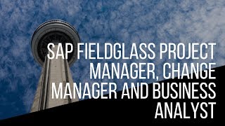 SAP Fieldglass Project Manager Change Manager and Business Analyst [upl. by Aicena]