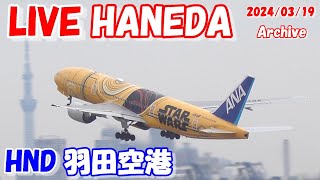 🔴LIVE at TOKYO HANEDA International Airport Plane Spotting 20240319 羽田空港ライブカメラ 羽田空港 HNDRJTT C滑走路 [upl. by Ruby]