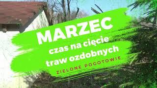 Marzec to odpowiedni czas na cięcie traw ozdobnych [upl. by Aek]