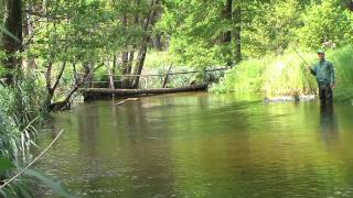 Секретные водоёмы Беларуси Best fishing venues of Belarus [upl. by Datha]