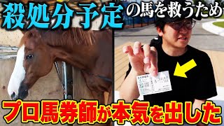 競馬の払戻を全額寄付しました。 [upl. by Leid]