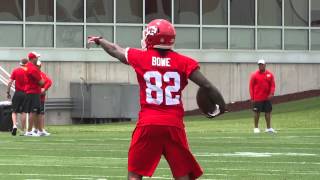 Kansas City Chiefs WR Dwayne Bowes BehindtheBack Catch Chiefs mandatory minicamp June 17 2014 [upl. by Ennirac]