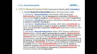 ACANTHOCEPHALAThorny or Spinyheaded worms CLASSIFICATION [upl. by Millham]