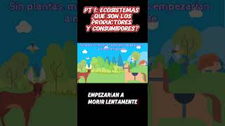 PARTE 1  Ecosistemas ¿Qué son los Productores y Consumidores 🌱🦁 ecosistema [upl. by Noiemad]