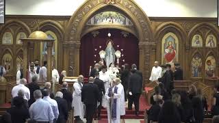 Livestream from St Mary and St Athanasius Church [upl. by Alabaster338]