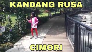 kandang rusa di Cimory tanganku dijilat rusa rasanya geli dan takut [upl. by Elisabeth897]