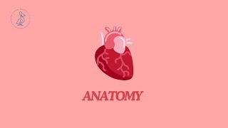 60  Larynx  cartilages ligaments joints muscles draw frontal section [upl. by Amory]