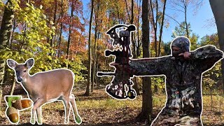 Bowhunting Whitetail Deer on the Ground NO BLIND [upl. by Engle]