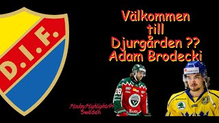 WELCOME TO DJURGÅRDEN  ADAM BRODECKI  HIGHLIGHTS [upl. by Ydderf718]