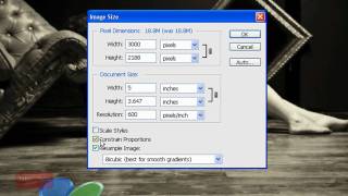 Howto Resize an Image For Printing  Adobe Photoshop Beginner Tutorial 60 Seconds [upl. by Acirretahs338]